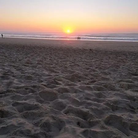 Maisonnette 2 A Deux Pas Des Plages * Biscarrosse